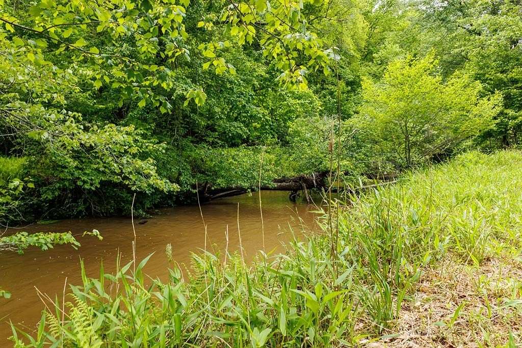 1.7 Acres of Residential Land for Sale in Blue Ridge, Georgia