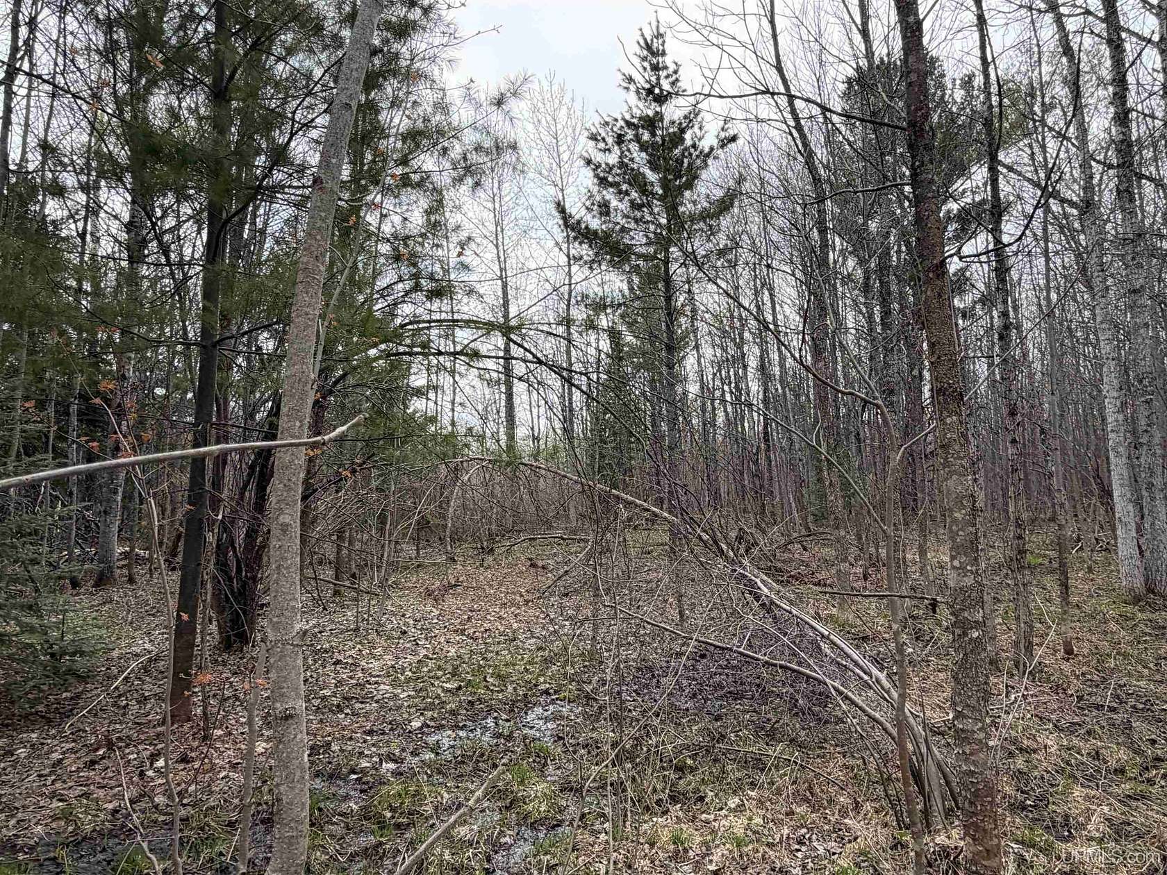 10 Acres of Recreational Land for Sale in Rockland, Michigan
