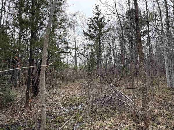 10 Acres of Recreational Land for Sale in Rockland, Michigan