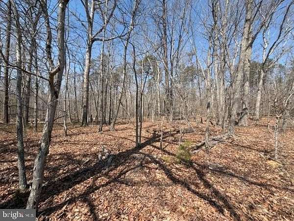 7.29 Acres of Residential Land for Sale in Lignum, Virginia