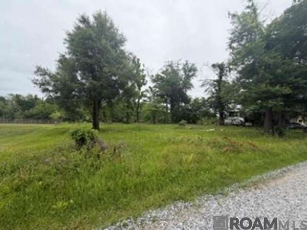 0.14 Acres of Residential Land for Sale in Maurepas, Louisiana