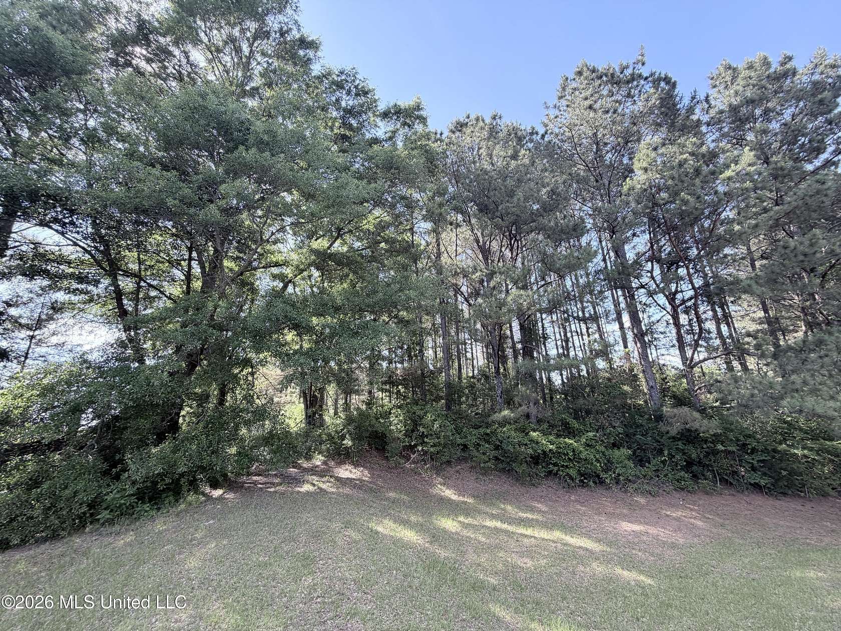 5 Acres of Land for Sale in Carthage, Mississippi