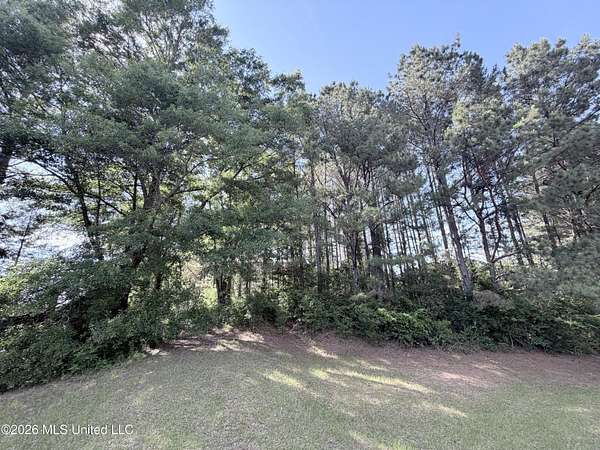 5 Acres of Land for Sale in Carthage, Mississippi