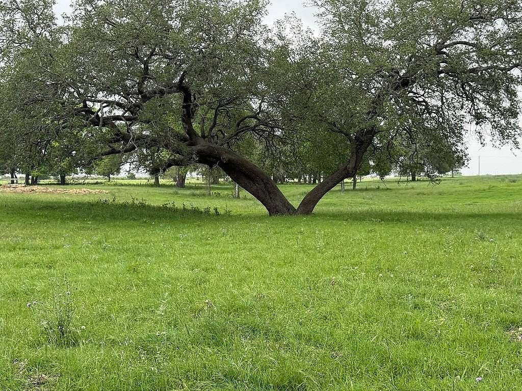11.5 Acres of Land for Sale in Schulenburg, Texas