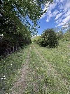 5.53 Acres of Residential Land for Sale in Bolivar, Missouri