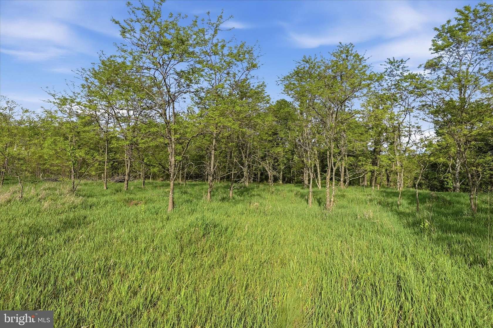 3.36 Acres of Residential Land for Sale in Romney, West Virginia