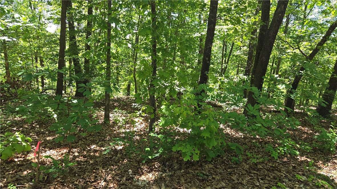 0.66 Acres of Residential Land for Sale in Bella Vista, Arkansas