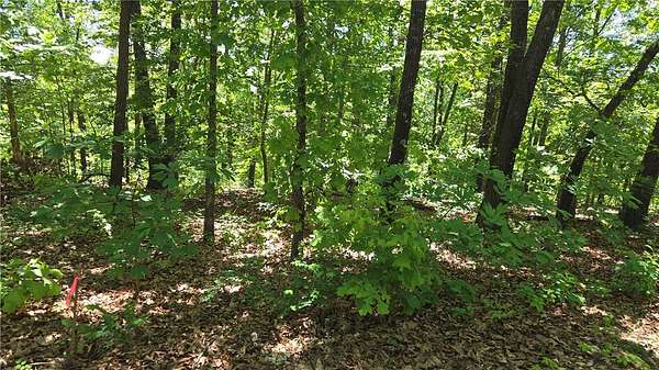 0.66 Acres of Residential Land for Sale in Bella Vista, Arkansas