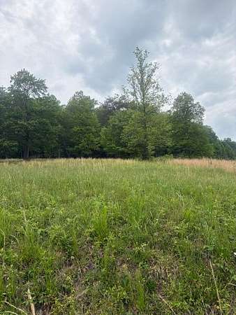 24.3 Acres of Recreational & Residential Land for Sale in McDonald, Tennessee