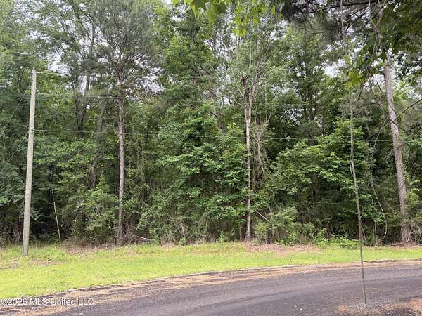 1.88 Acres of Residential Land for Sale in McComb, Mississippi