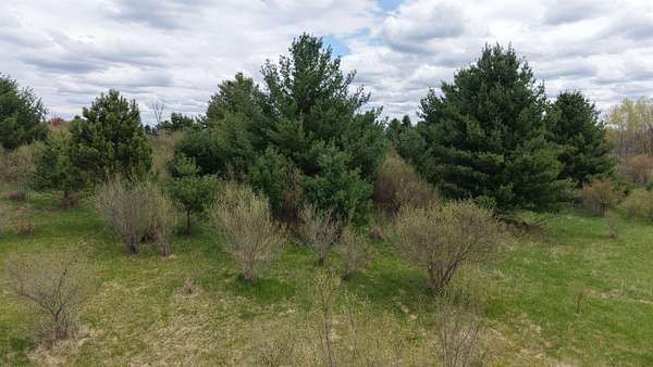 0.35 Acres of Residential Land for Sale in Gladwin, Michigan