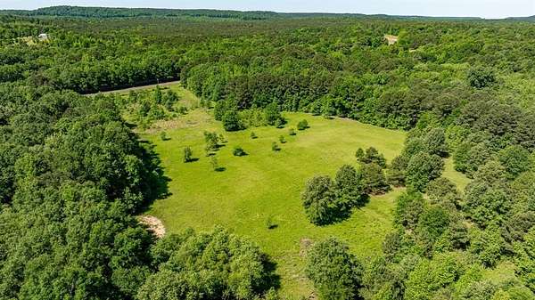 203 Acres of Land for Sale in Pittsburg, Texas