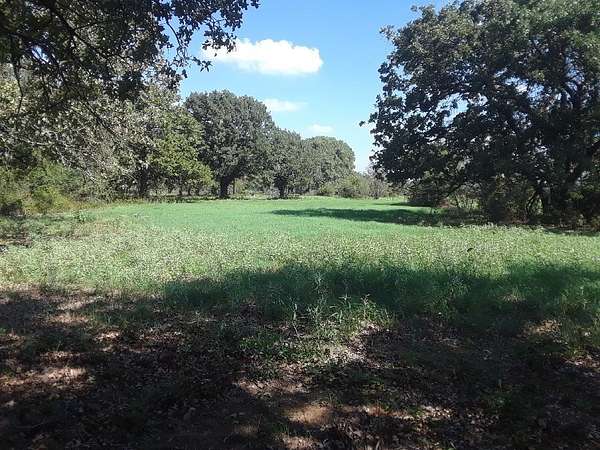 7 Acres of Residential Land for Sale in Covington, Texas