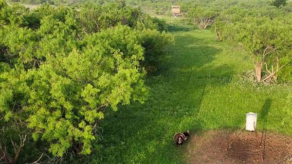 310 Acres of Land for Sale in Goldsboro, Texas