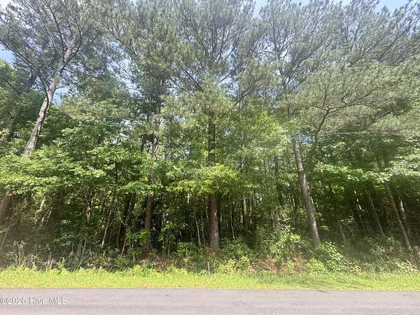 0.46 Acres of Land for Sale in Rocky Point, North Carolina