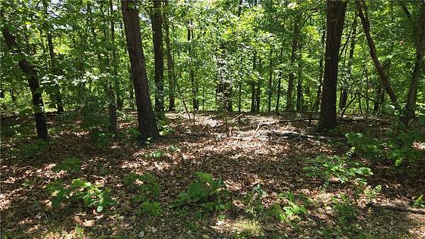 0.33 Acres of Residential Land for Sale in Bella Vista, Arkansas