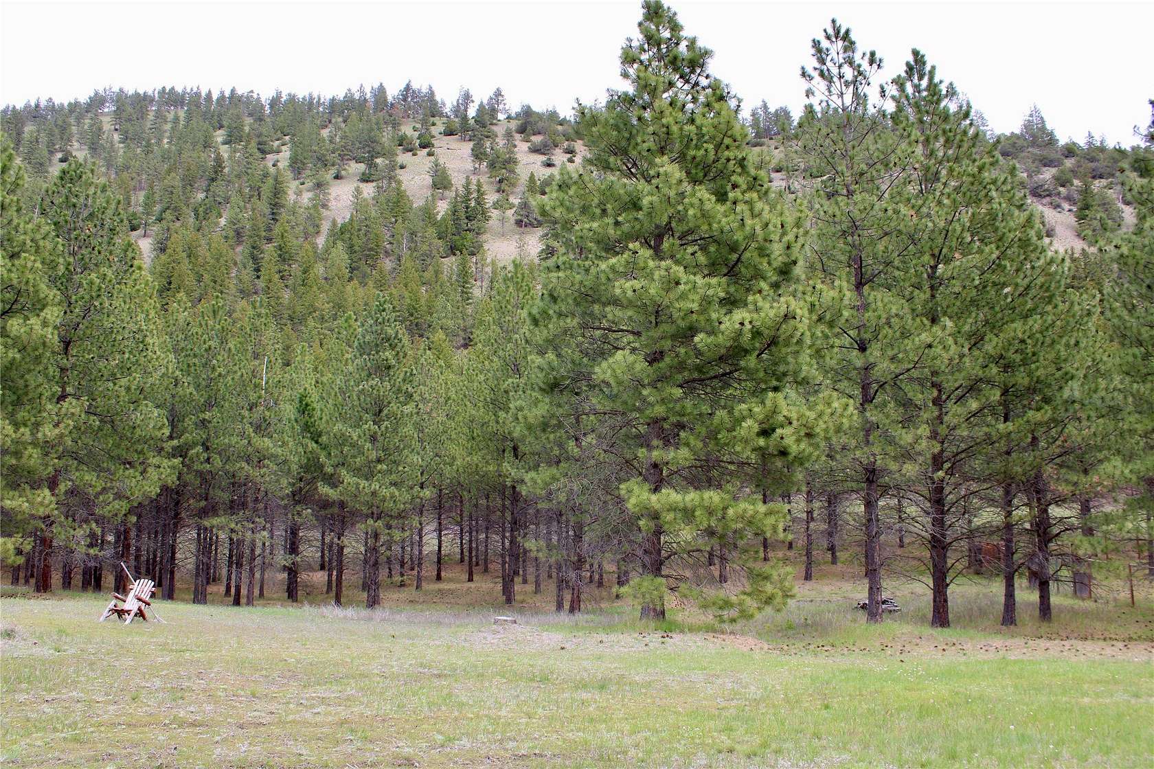 30.5 Acres of Recreational Land for Sale in Lolo, Montana