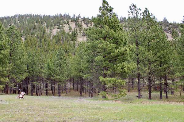 30.5 Acres of Recreational Land for Sale in Lolo, Montana