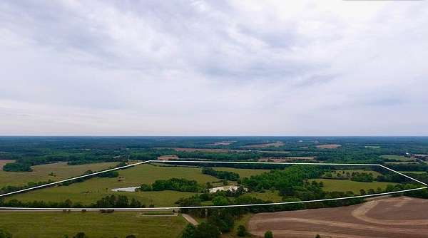 117 Acres of Land for Sale in Samson, Alabama