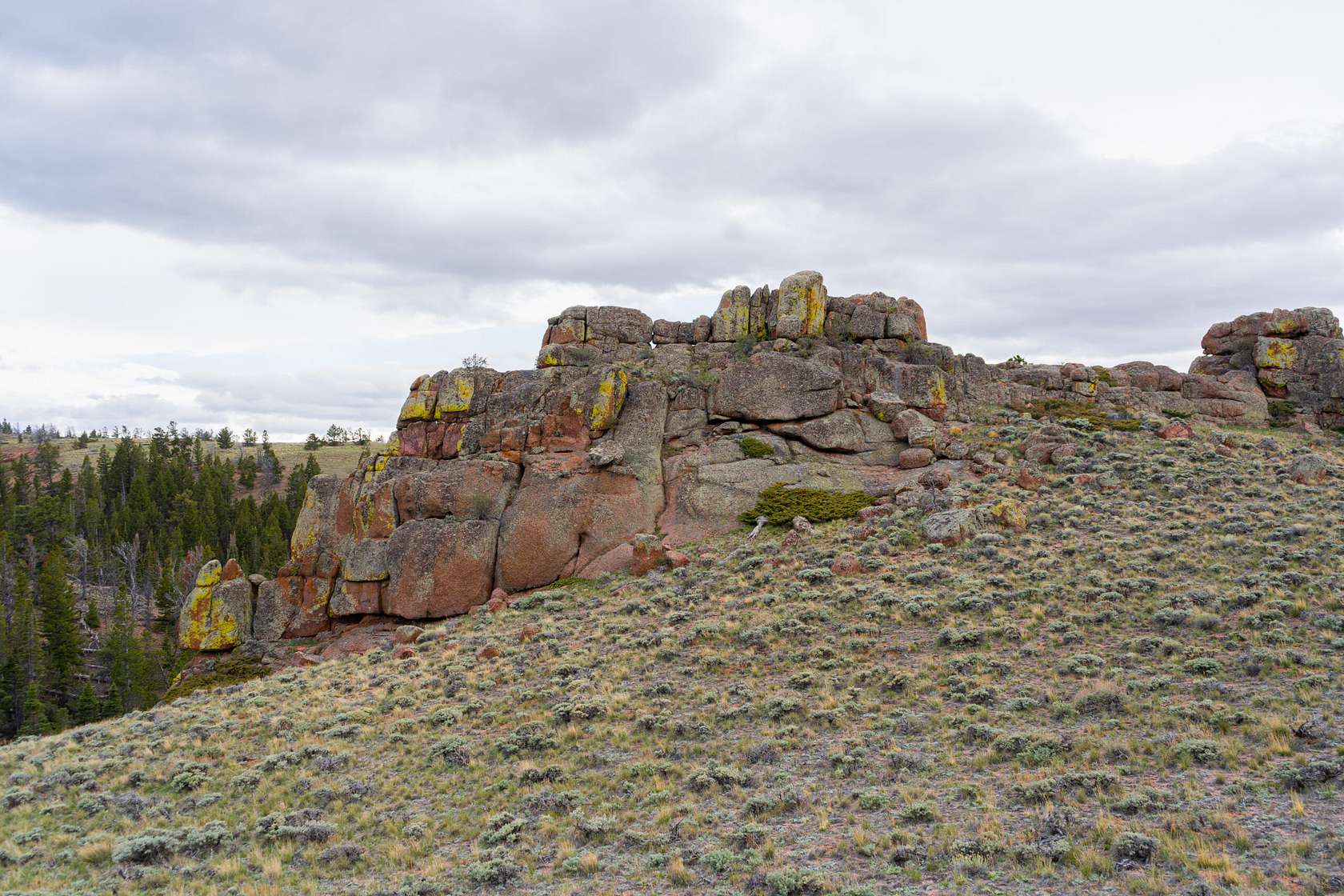 40 Acres of Recreational Land for Sale in Livermore, Colorado