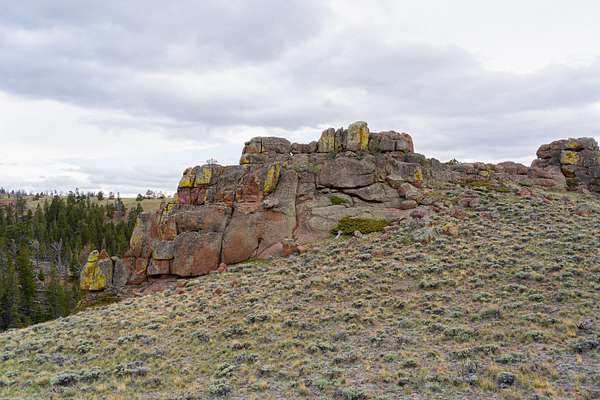 40 Acres of Recreational Land for Sale in Livermore, Colorado