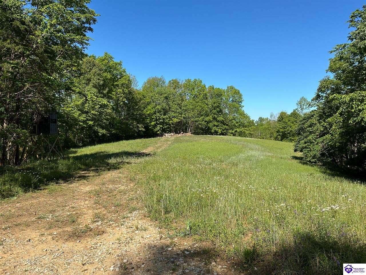 72 Acres of Recreational & Residential Land for Sale in Magnolia, Kentucky