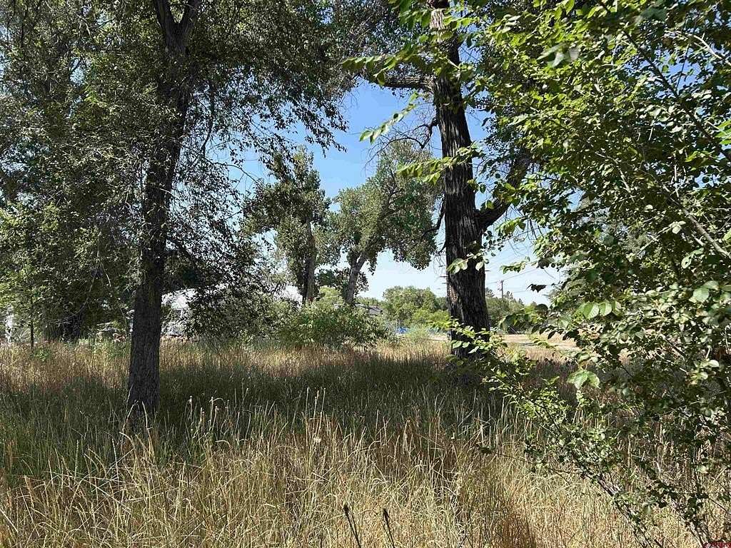 0.43 Acres of Residential Land for Sale in Paonia, Colorado