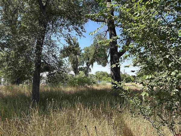 0.43 Acres of Residential Land for Sale in Paonia, Colorado