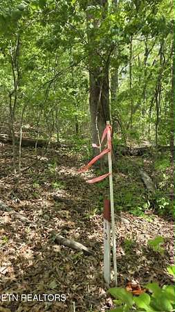 0.81 Acres of Residential Land for Sale in Crossville, Tennessee