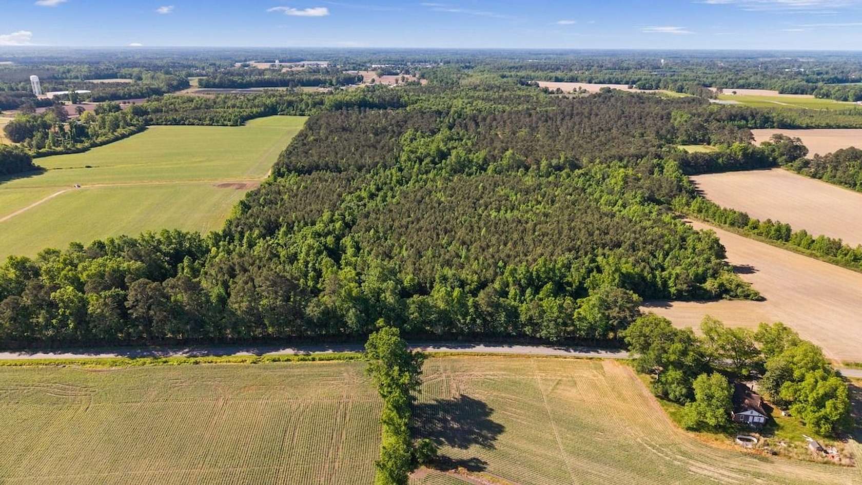 26 Acres of Recreational & Residential Land for Sale in Teachey, North Carolina