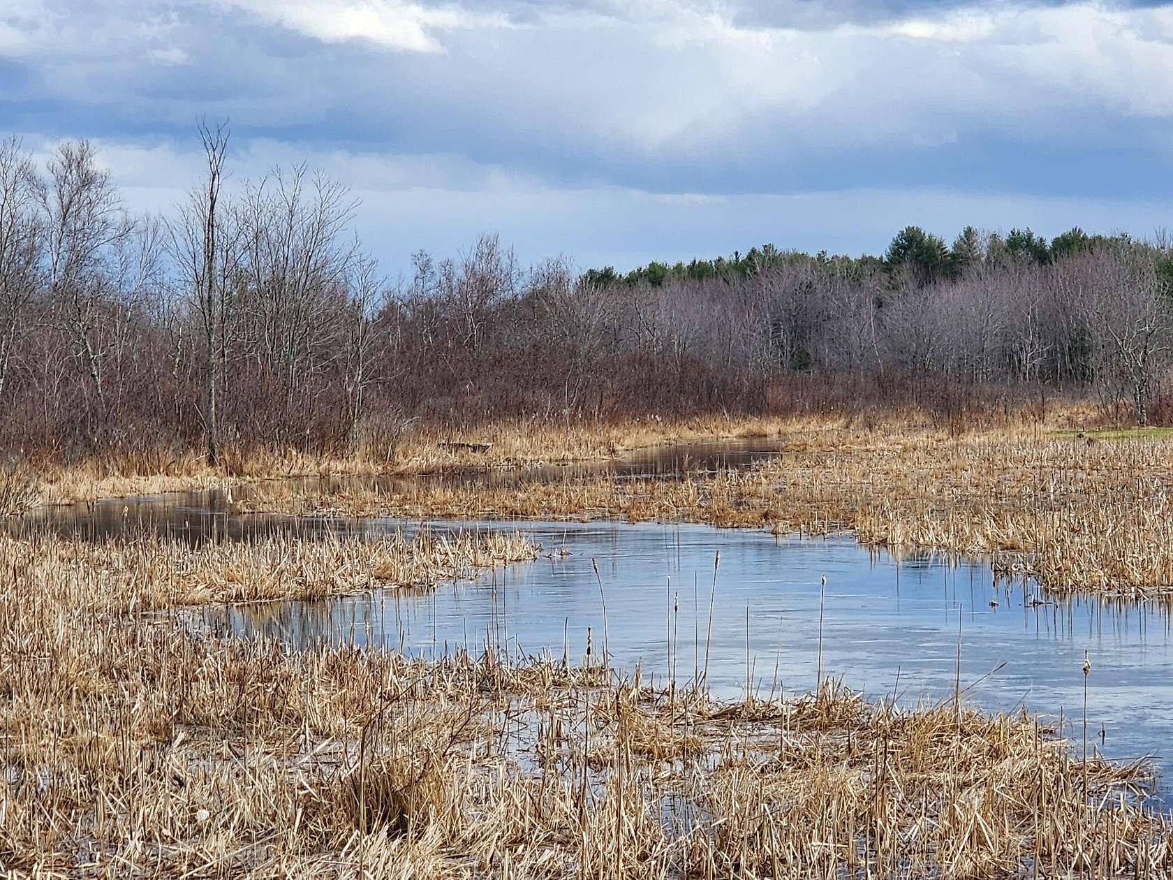 4.1 Acres of Land for Sale in Swanville, Maine