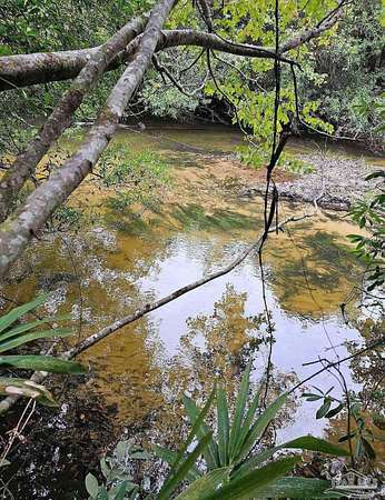 2.5 Acres of Residential Land for Sale in Milton, Florida