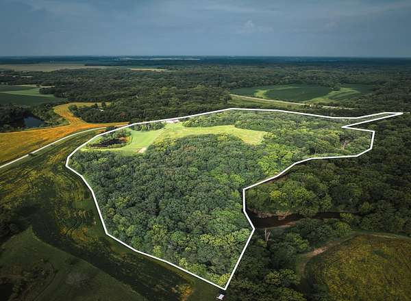 30 Acres of Land for Sale in Plainview, Illinois