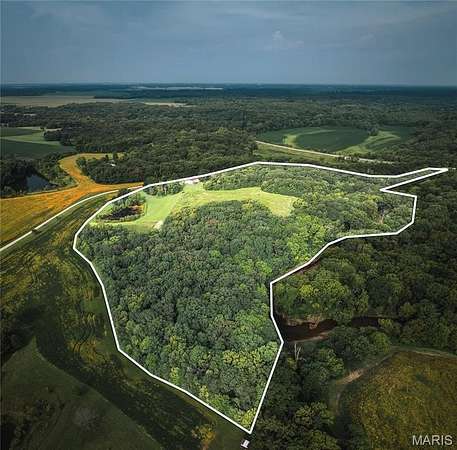 30 Acres of Land for Sale in Plainview, Illinois