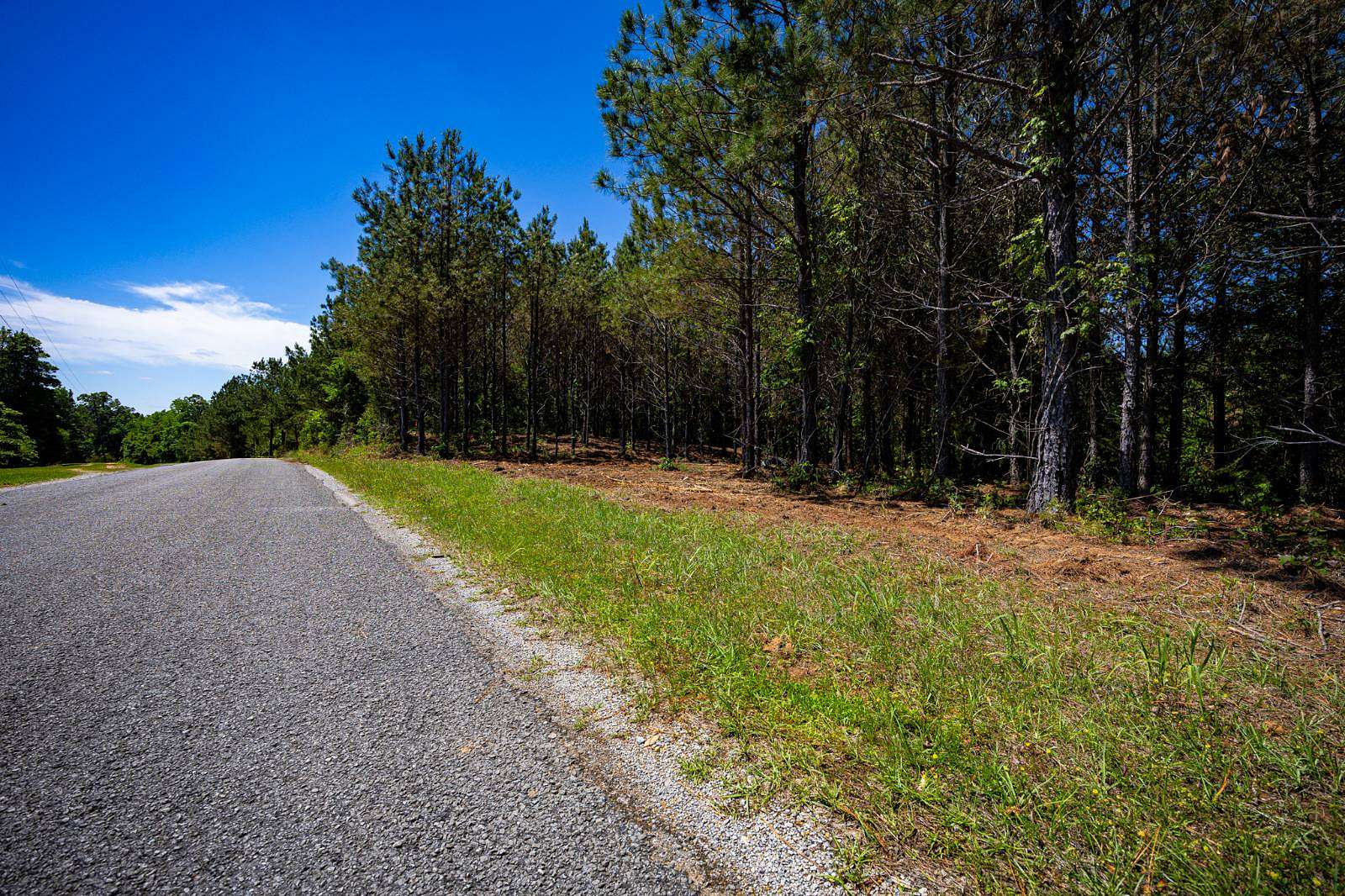 19.5 Acres of Recreational & Residential Land for Sale in Fulton, Mississippi