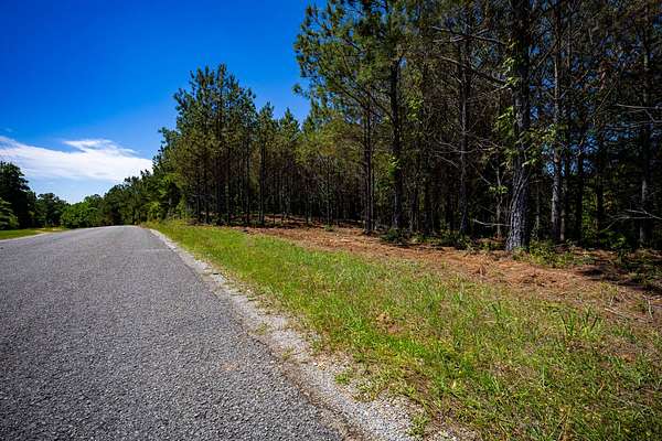 19.5 Acres of Recreational & Residential Land for Sale in Fulton, Mississippi
