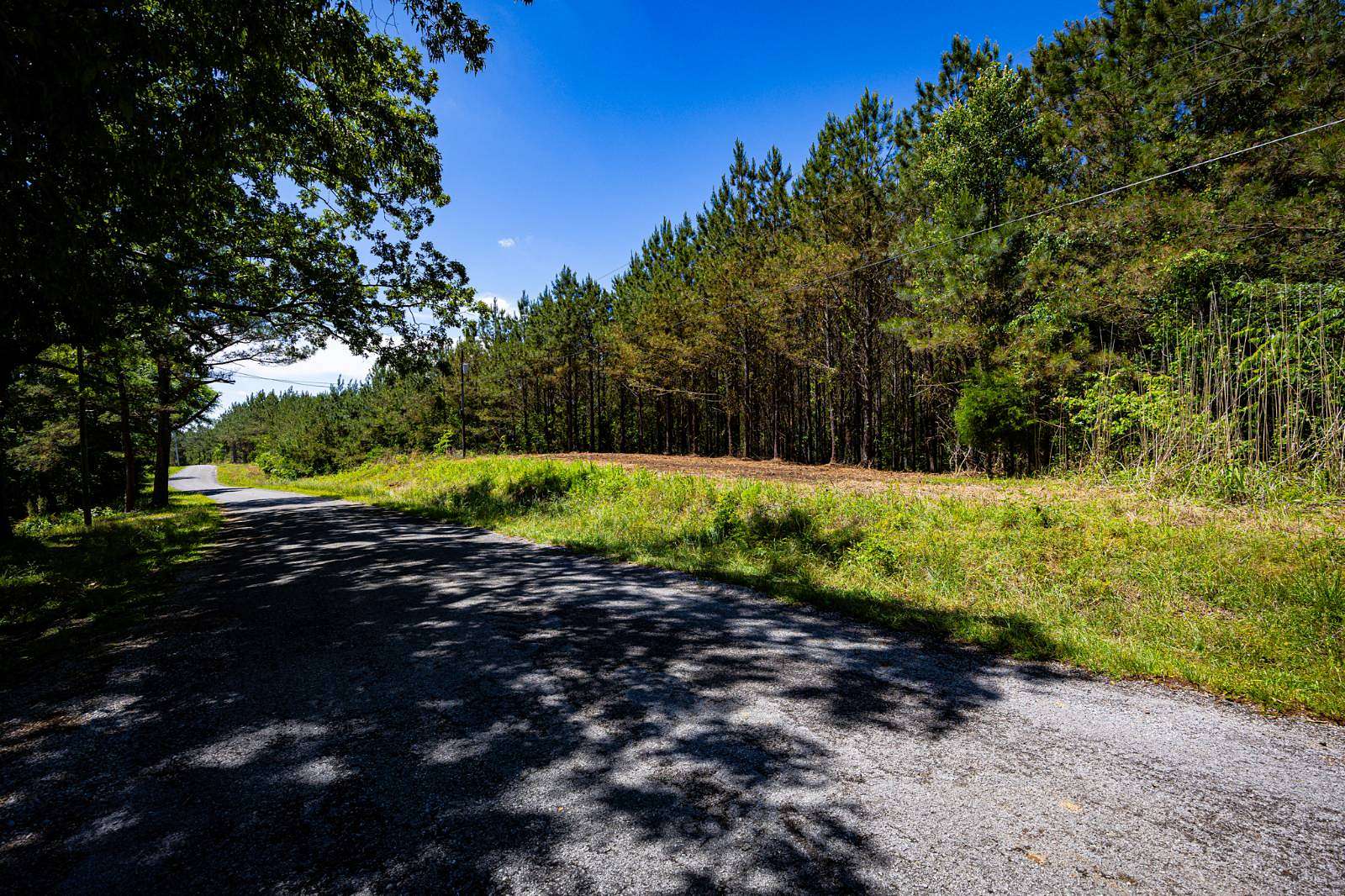 16.4 Acres of Recreational & Residential Land for Sale in Fulton, Mississippi