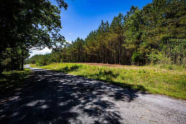 16.4 Acres of Recreational & Residential Land for Sale in Fulton, Mississippi