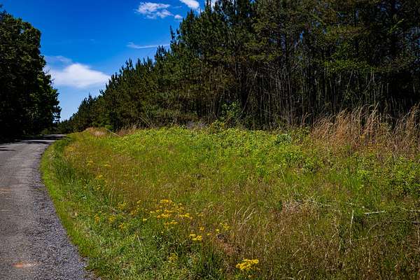 14.2 Acres of Recreational & Residential Land for Sale in Fulton, Mississippi