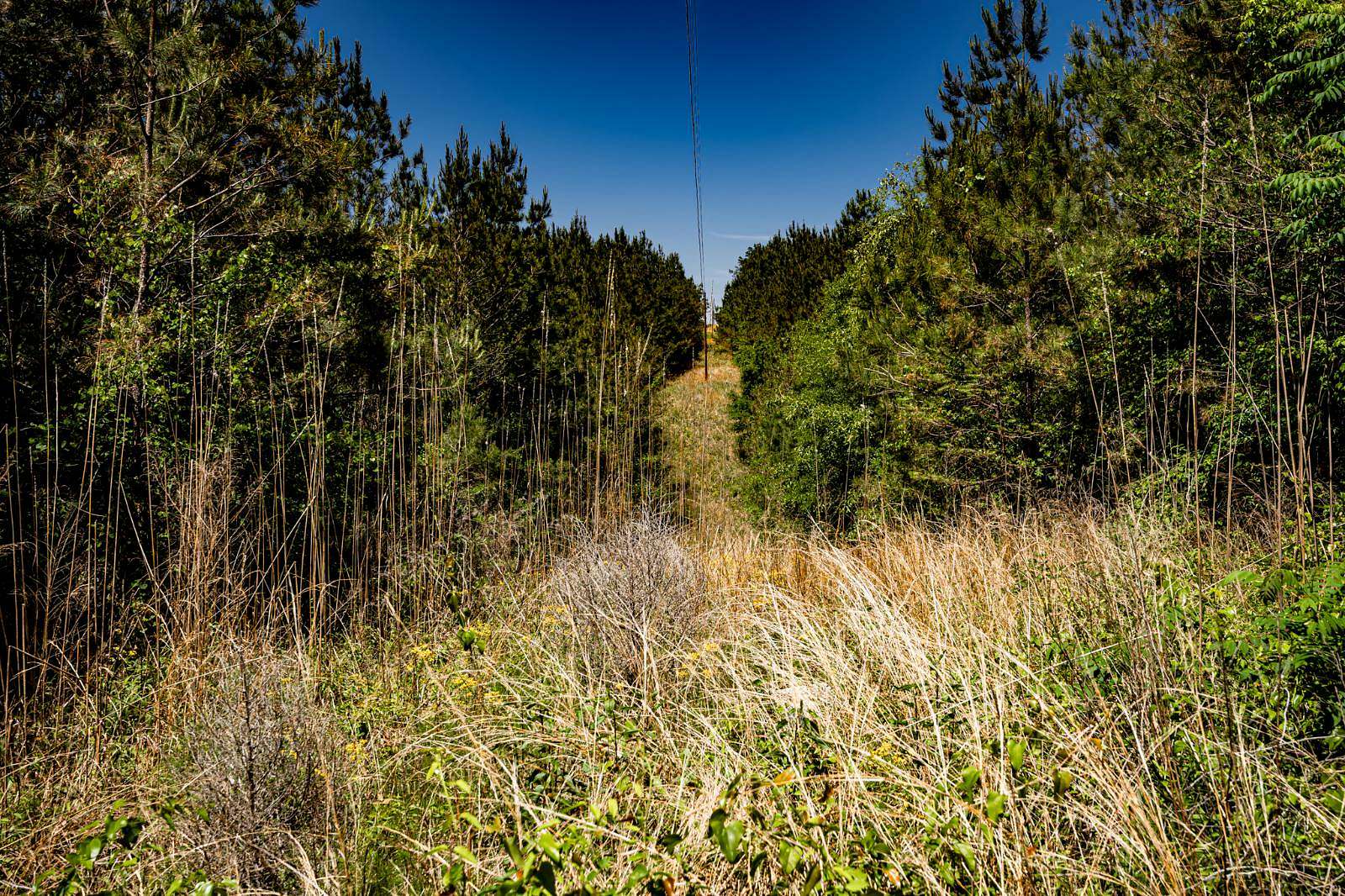12 Acres of Recreational & Residential Land for Sale in Fulton, Mississippi