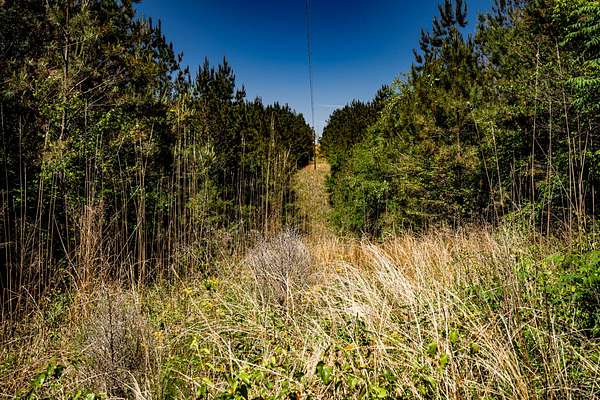 12 Acres of Recreational & Residential Land for Sale in Fulton, Mississippi