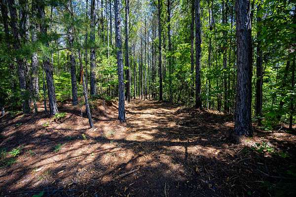 17 Acres of Recreational & Residential Land for Sale in Fulton, Mississippi