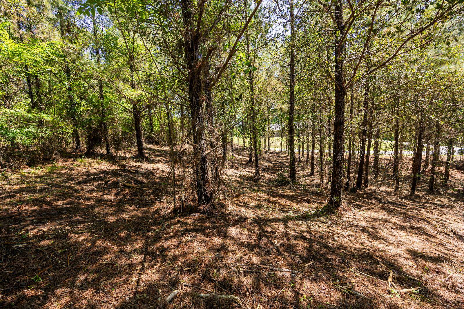 19.5 Acres of Recreational & Residential Land for Sale in Fulton, Mississippi