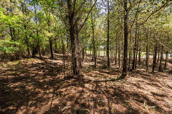 19.5 Acres of Recreational & Residential Land for Sale in Fulton, Mississippi