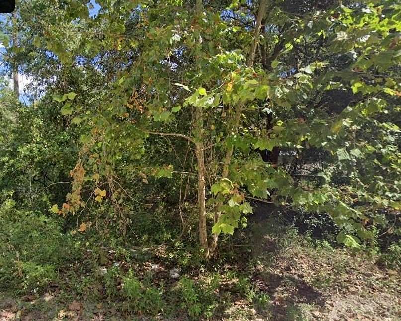 0.63 Acres of Land for Sale in Tallahassee, Florida