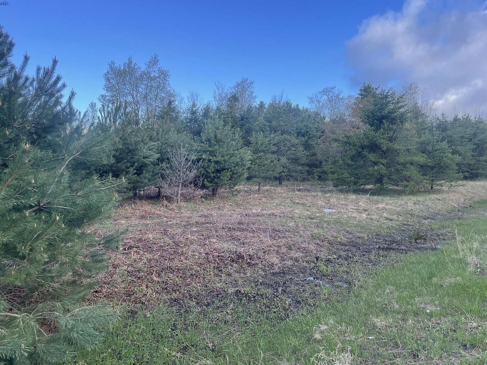 2.5 Acres of Land for Sale in Shelby, Michigan