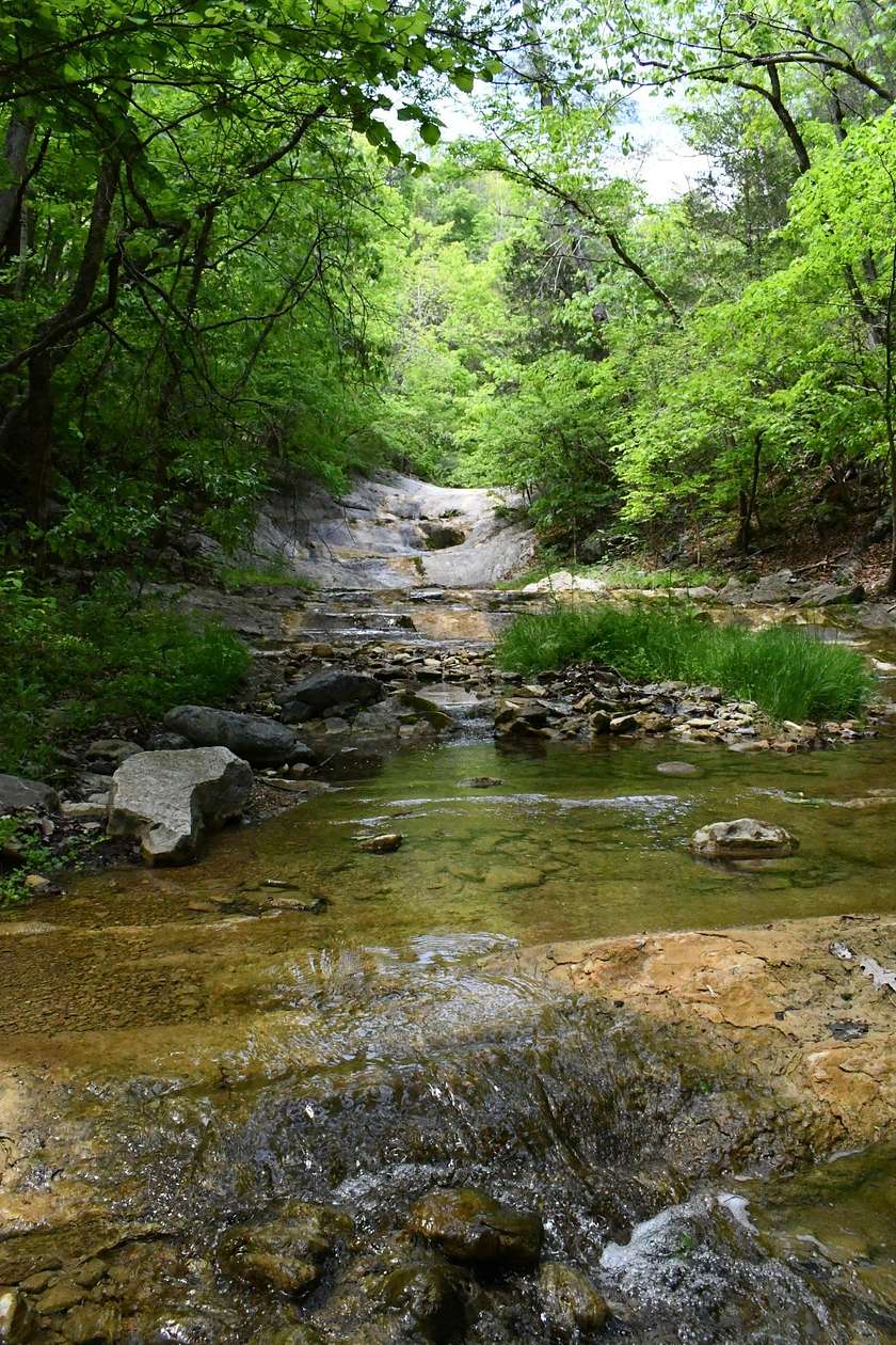 6.25 Acres of Recreational Land for Sale in Buchanan, Virginia