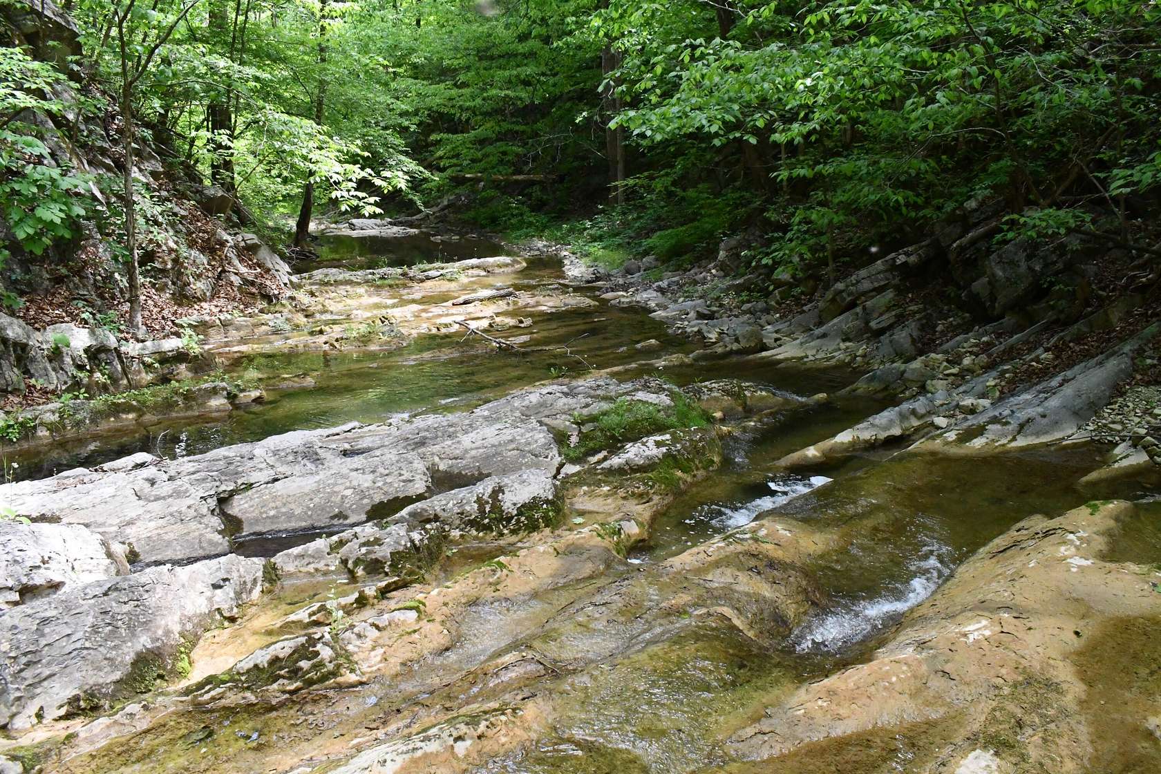 6.25 Acres of Land for Sale in Buchanan, Virginia