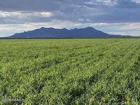 966 Acres of Agricultural & Residential Land for Sale in Columbus, New Mexico