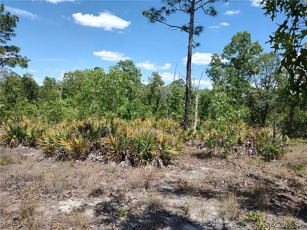 2.52 Acres of Residential Land for Sale in Dunnellon, Florida